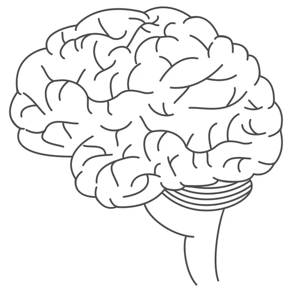 Ícone plano do cérebro — Vetor de Stock