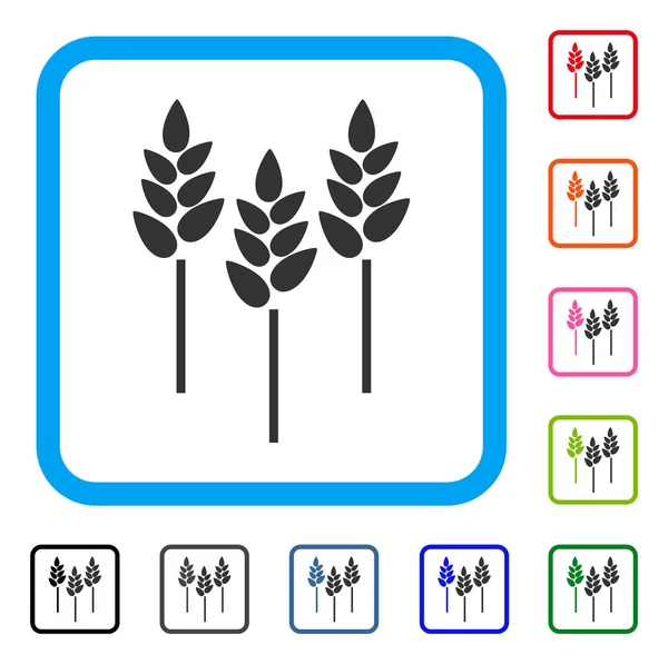 Tarwe oren ingelijst pictogram — Stockvector