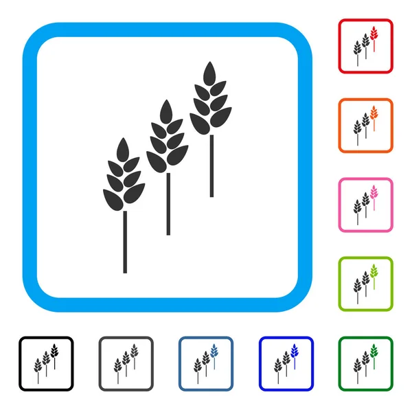 Pšenice rostliny zarámované ikona — Stockový vektor