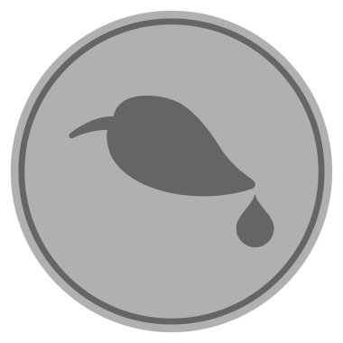 Damla ile doğal yaprak gümüş sikke