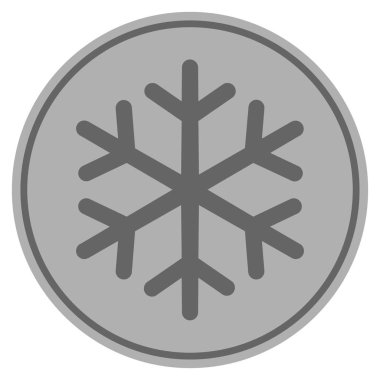 Kar tanesi gümüş sikke