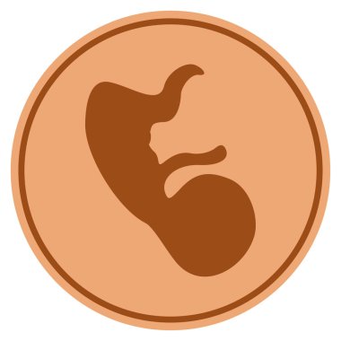 İnsan embriyo Bronz sikke