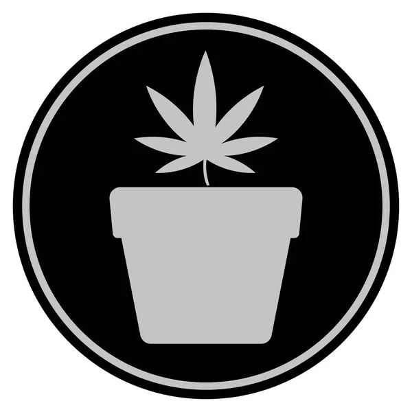 Marihuana maceta negra moneda — Foto de Stock
