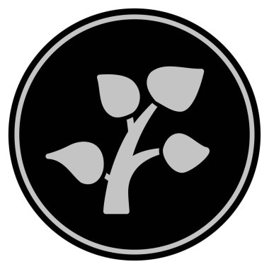 Bitki Filiz kara para