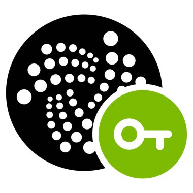 Iota anahtar düz simgesi