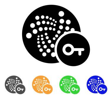 Iota anahtar vektör simgesi
