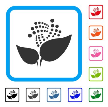 Iota Eco başlangıç simgesi çerçeveli