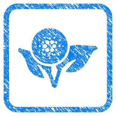 Cardano Eco başlangıç damga çerçeveli