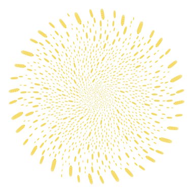 Mısır döngüsü Spin