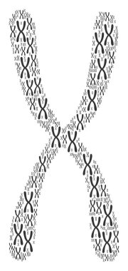 Kromozom simgesi şekli