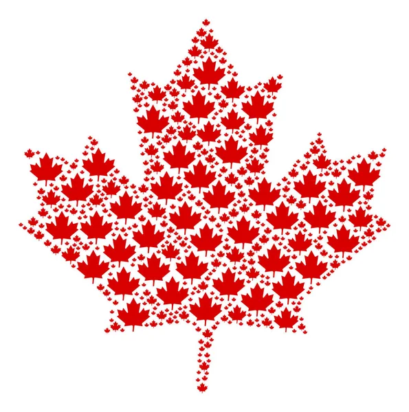 Maple Leaf pictogram samenstelling — Stockvector