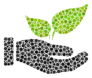 Eco başlangıç el kompozisyon nokta