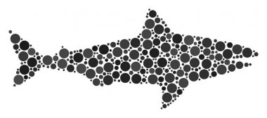 Köpekbalığı mozaik nokta