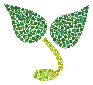 Doldurulmuş daireler bileşimi Filiz