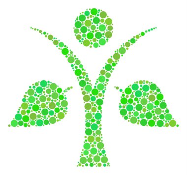 Ekoloji adam kolaj nokta