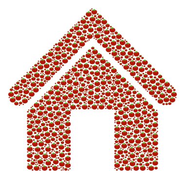 Domates ev bileşimi