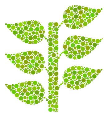 Flora Bitki mozaik nokta