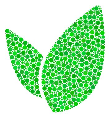 Çiçek lahanası mozaik nokta