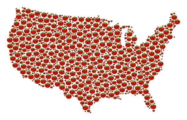 トマトのアメリカ マップの構成 — ストックベクタ