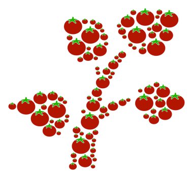 Domates bitki ağaç bileşimi