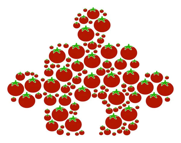 Zusammensetzung der Tomate — Stockvektor