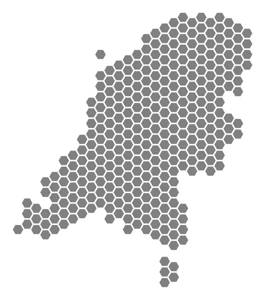 Grey Hexagon Netherlands Map — Stock Vector