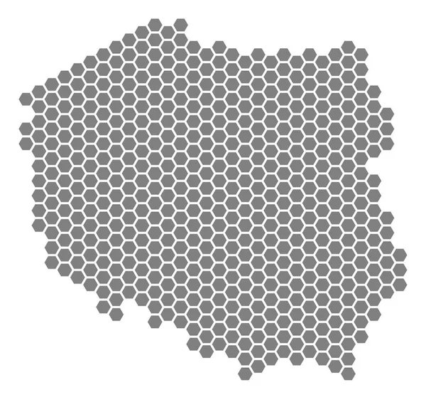 Gray Hexagon Polonia mapa — Vector de stock