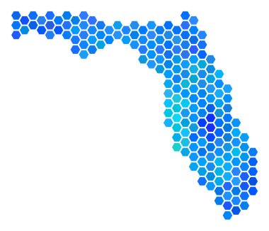 Mavi altıgen Florida harita