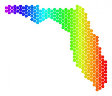 Spektrum altıgen Florida harita