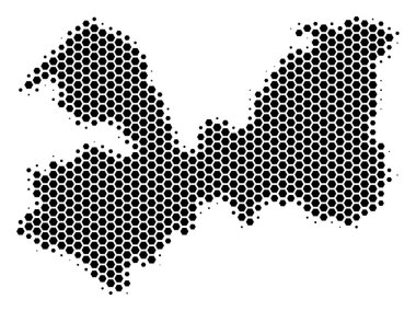 Altıgen yarı ton Leningrad Oblast harita