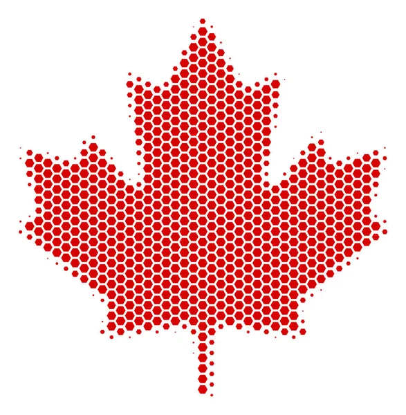 Zeshoek Halftone Maple Leaf pictogram — Stockvector