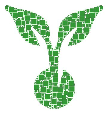 Tohum bileşimi kareler ve daireler Filiz