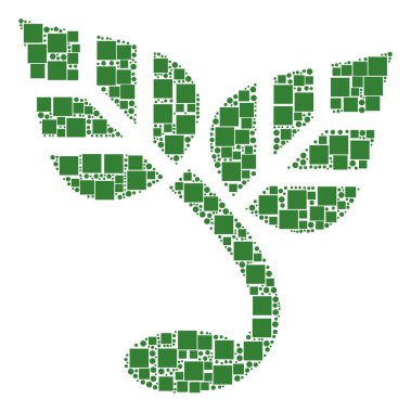 Filiz bileşimi kareler ve daireler