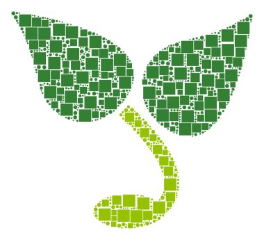 Filiz kolaj kareler ve daireler