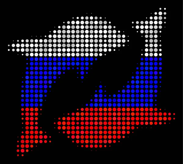 Halftone Russische dolfijnen pictogram — Stockvector