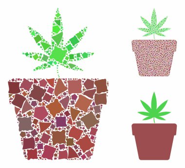 Joggly Ögelerinin Esrar Bileşimi Simgesi