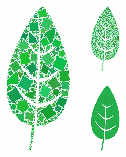 不可欠な部品の植物の葉の組成アイコン — ストックベクタ