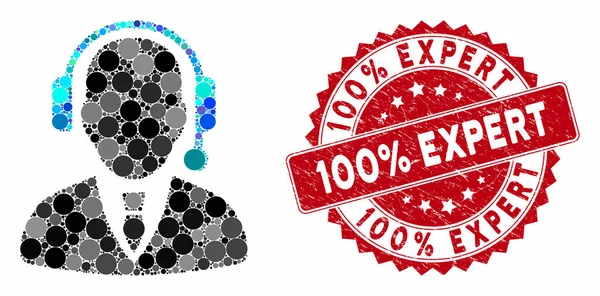 Collage avsändare med nöd 100 Procent Expert Seal — Stock vektor