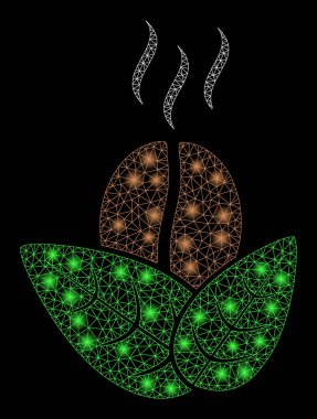 Işıldayan Ağ Organik Kahvesi