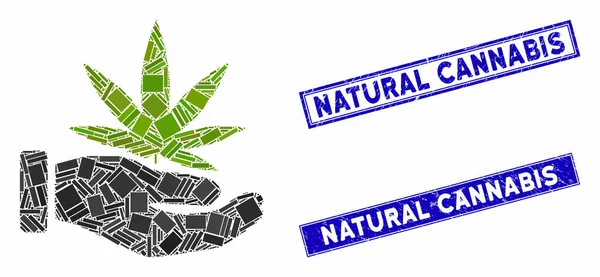 Cannabis bietet Palmmosaik und zerkratzte Wasserzeichen — Stockvektor