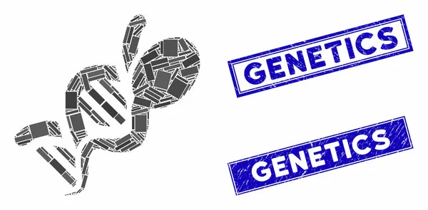 Genetika Mosaic and Distress Rectangle Genetics Seals — Stockový vektor