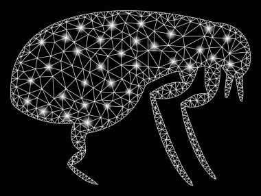 Işık Lekeli Parlayan Ağ Pire