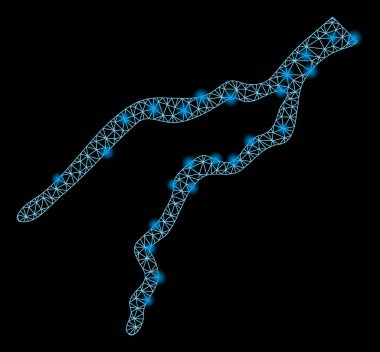 Işık Noktalı Parlak Ağ Nehiri