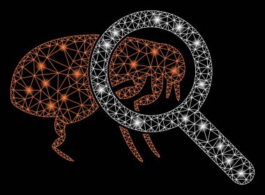 Fişek Lekeleri ile Fişek Ağı Toplam Pire Kontrolü