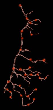 Fişek Lekeli Ağ Kablo Çerçevesi Yıldırımı