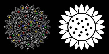 Fişek Kabuğu Ay Çiçeği Simgesi Lekeli Ayçiçeği Simgesi