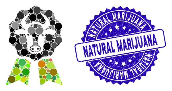 Collage cow award seal icon mit texturiertem natürlichen Marihuana-Siegel — Stockvektor