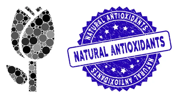 Collage-Tulpensymbol mit zerkratzten natürlichen Antioxidantien-Stempel — Stockvektor
