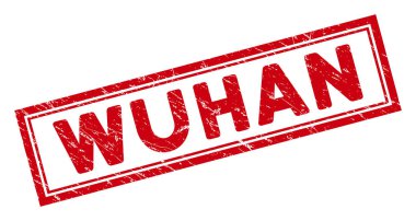 Çift Çerçeveli Tehlike Wuhan Dikdörtgen Mühür Mührü