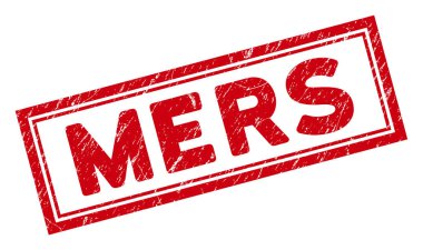 Çift Çerçeveli Tırmalanmış Mers Dikdörtgen Damgası